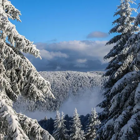 L Authentique Vosgien Chalet Vecoux