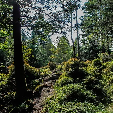 Chalet L Authentique Vosgien Vecoux