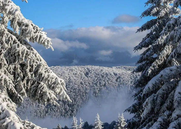 L Authentique Vosgien Horská chata Vecoux