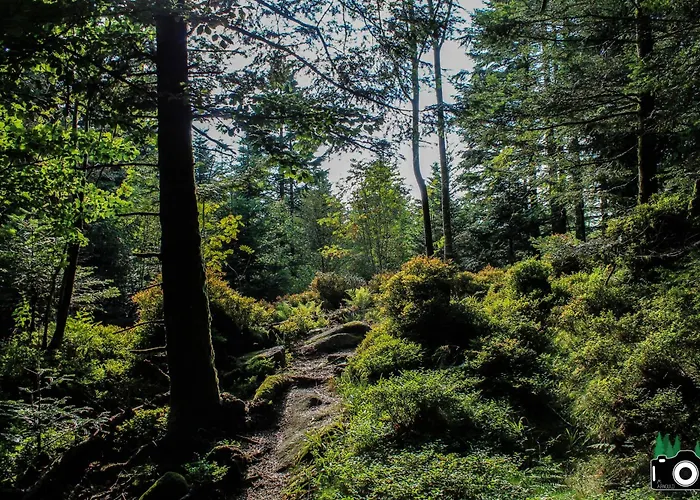 Horská chata L Authentique Vosgien Vecoux